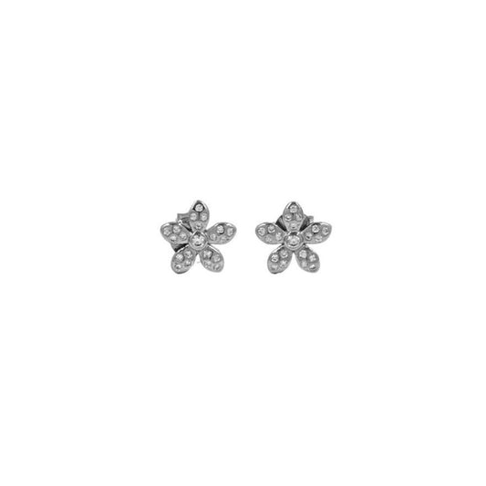 925 Silver Earrings